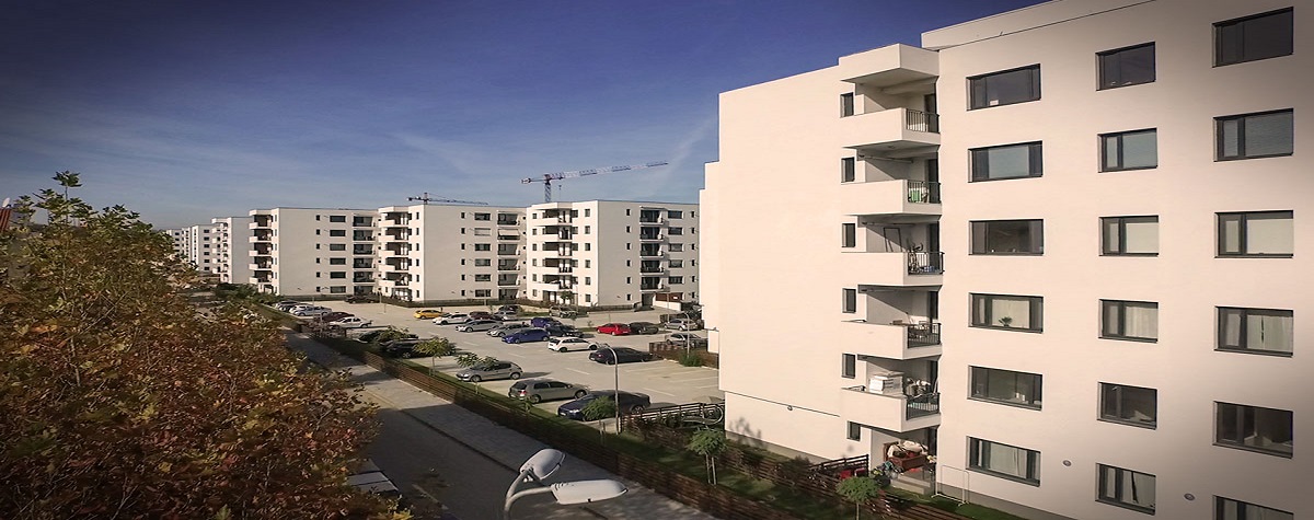 Greenfield - perfect pentru oricine